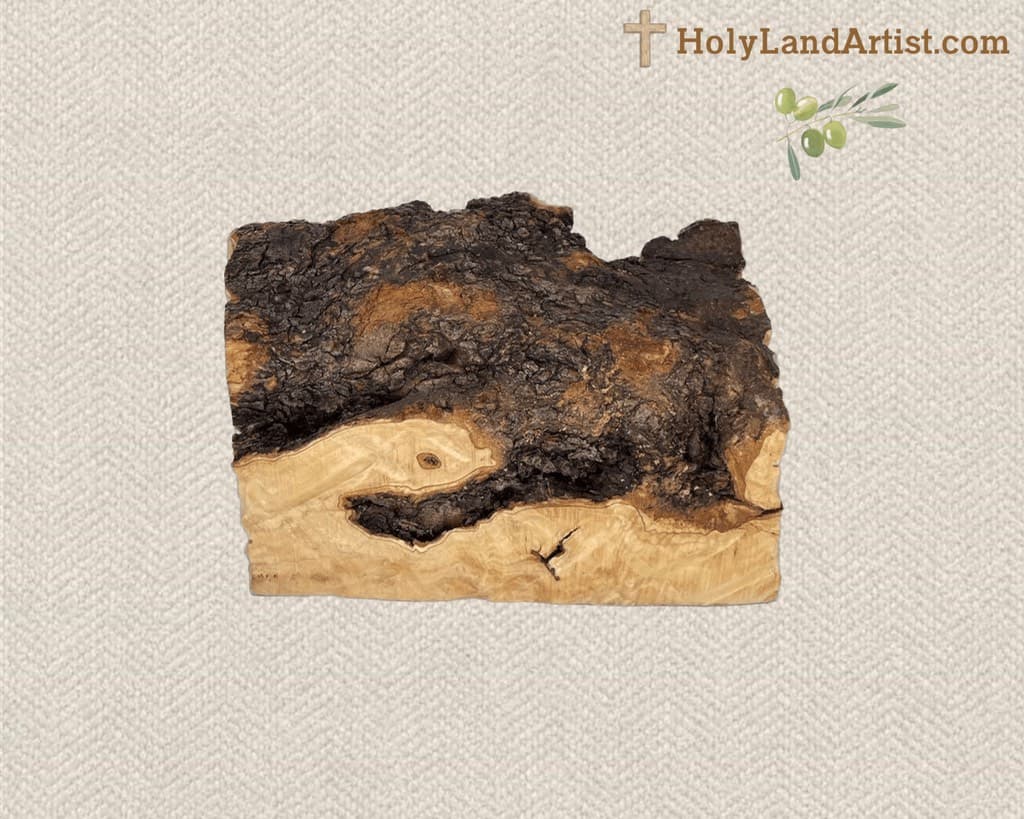 Nativity Set with Olive Trunk - Image 3